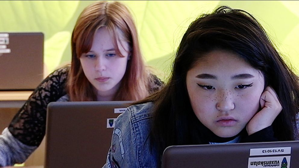 Två tjejer vid varsin laptop.