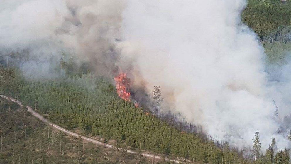 Skogsbranden runt Målerås.