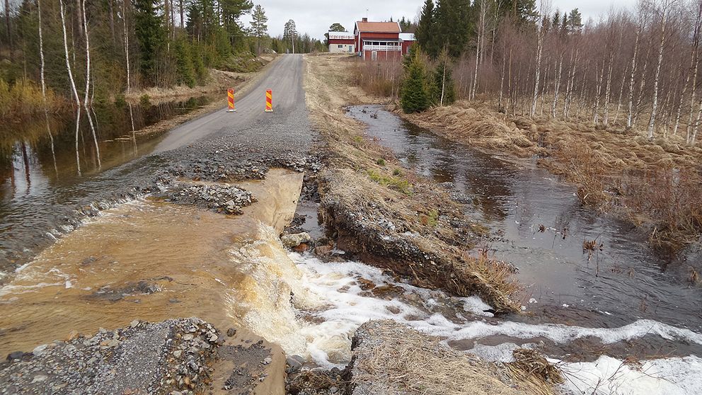 Översvämning i Lugnet utanför Bygdsiljum i Västerbotten den 19 maj efter snösmältning om mycket regn.