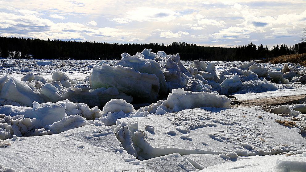 Islossning i Tärendöälven vid Lautakoski i Tornedalen i norra Norrbotten den 20 maj.