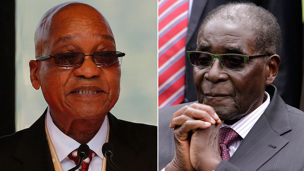 Sydafrikas president Jacob Zuma och Zimbabwes ledare Robert Mugabe.