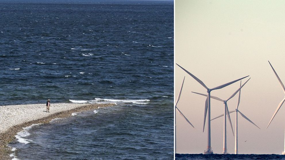 Hanöbukten och vindkraftverk