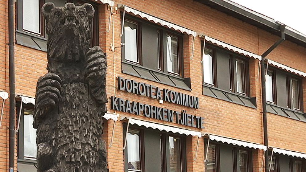 Dorotea kommun får pengar för att utveckla besöksnäringen i kommunen.