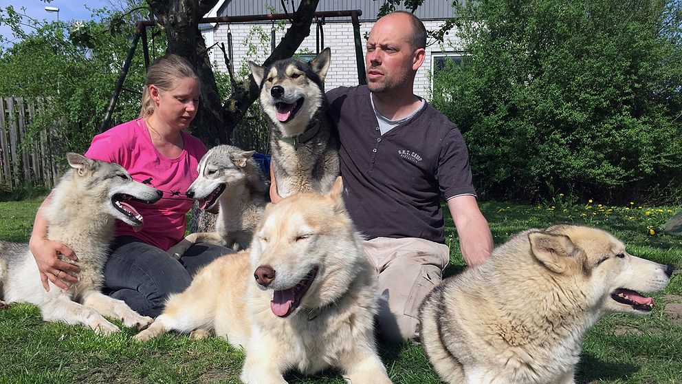 Iréne Ax och Kenneth Svensson har tävlat med sina hundar i drygt tio år.