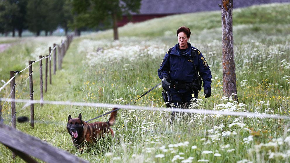 Polis med hund går i inhägnad hage,
