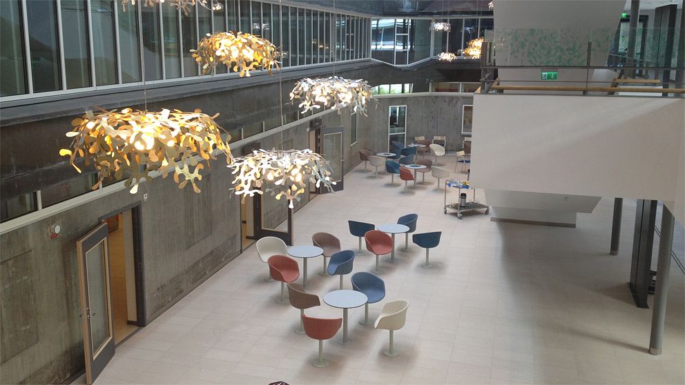 De anställda på Psykiatrihuset i Lund blir sjuka av den dåliga luften.