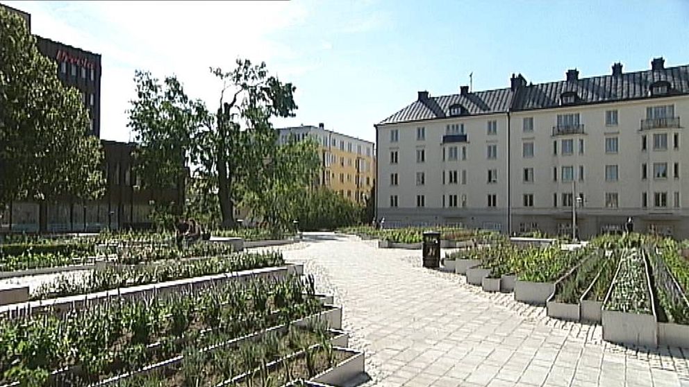 Hörsalsparken i Norrköping