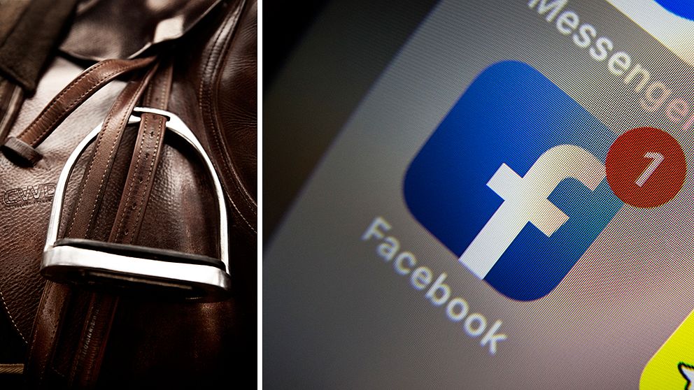 Kvinna i 20-årsåldern åtalas för stort antal bedrägerier via Facebook.