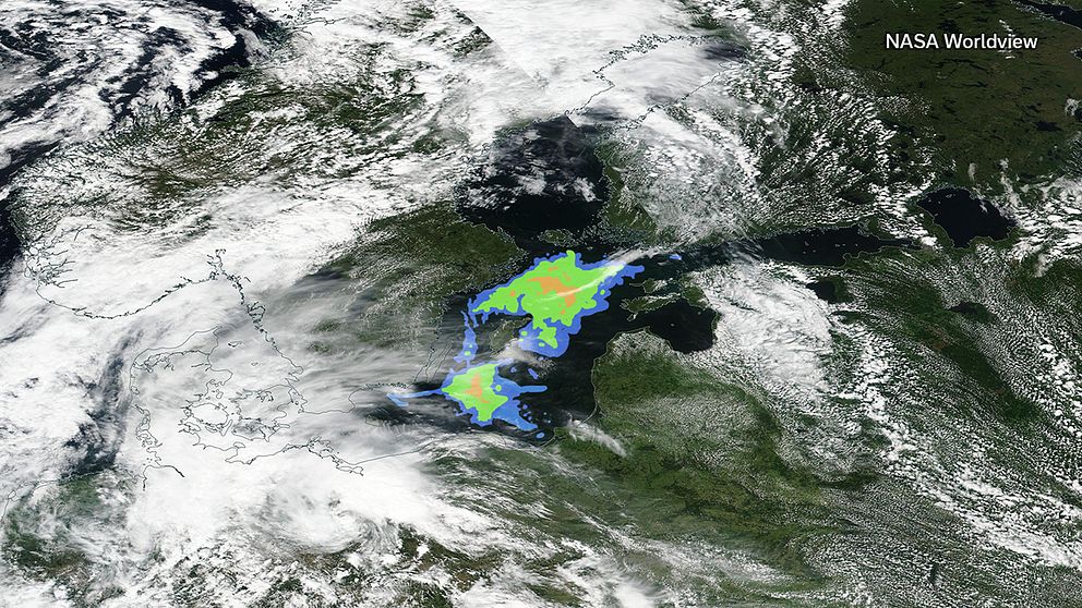 Här syns området (taget från en satellitbild) där algblomningen just nu är som mest utbredd via en färgkodad karta.