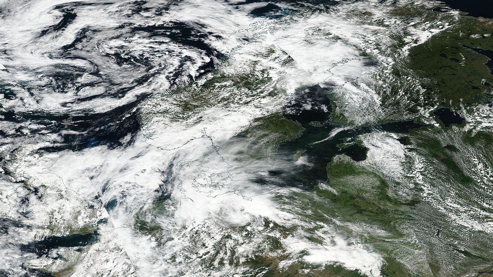 Satellitbild som visar ytsamlingarna av algblomningen som ett grönt täcke mellan Sverige och kontinenten.