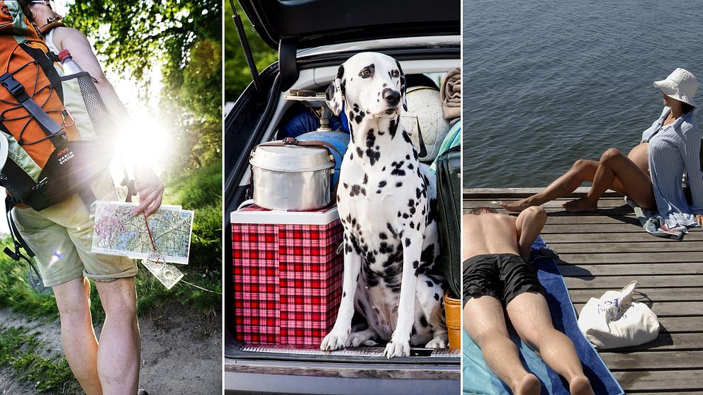 Många svenskar väljer att semestra i Sverige på sommaren. En populär trend är att ge sig ut på vandringsleden.