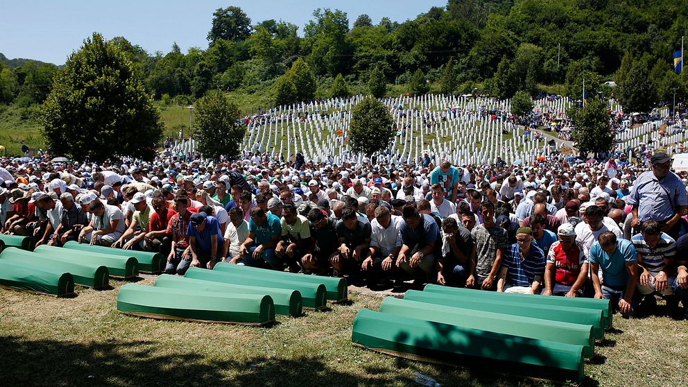 Bosniska muslimer ber vid kistorna under begravningsceremonin för några av offren för Srebrenica-massakern.