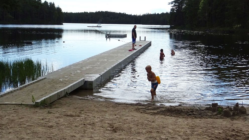 Barn som badar vid brygga i sjö