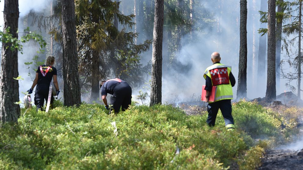 Skogsbrand Arnö, räddningstjänsten ringar in elden.
