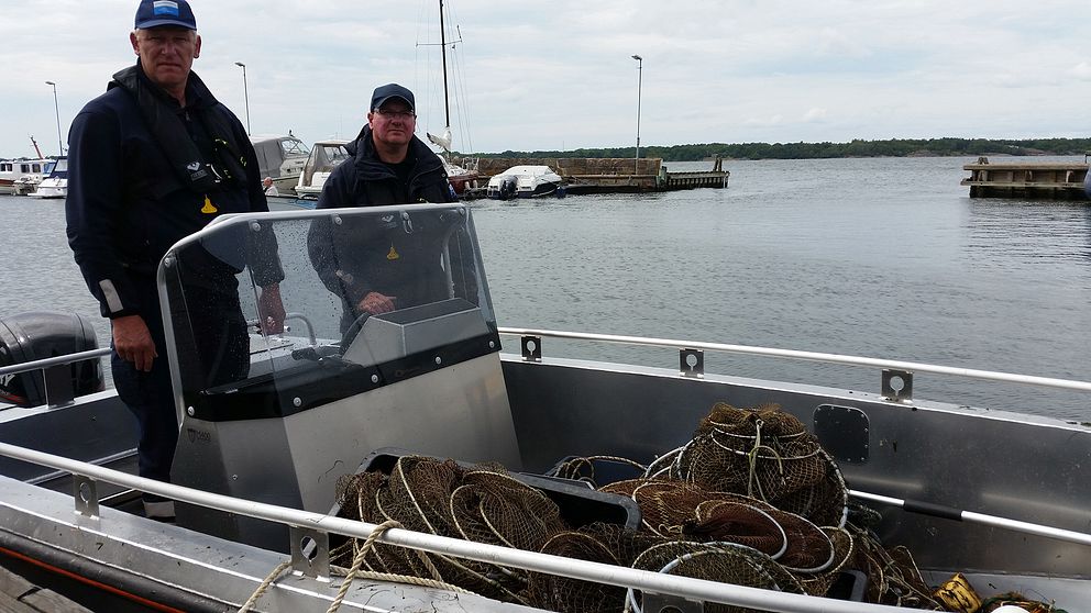 Björn Stührenberg och Thomas Reuterljung från Havs- och vattenmyndigheten jagar olagliga ålryssjor.