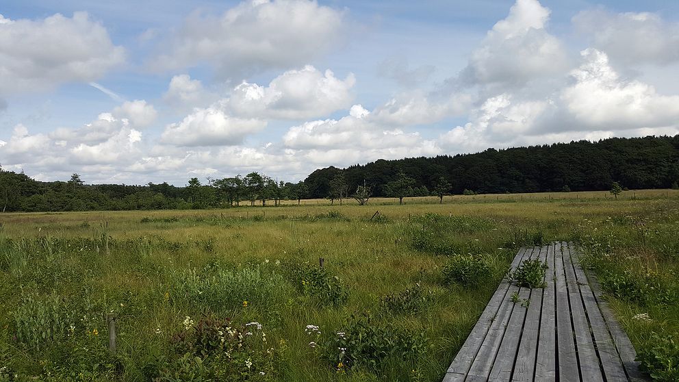 Skåne har flest rödlistade arter.