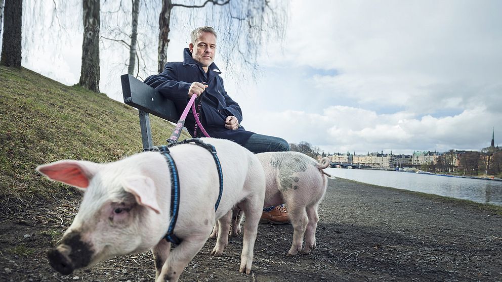 Henrik Schyffert i serien Köttets lustar.