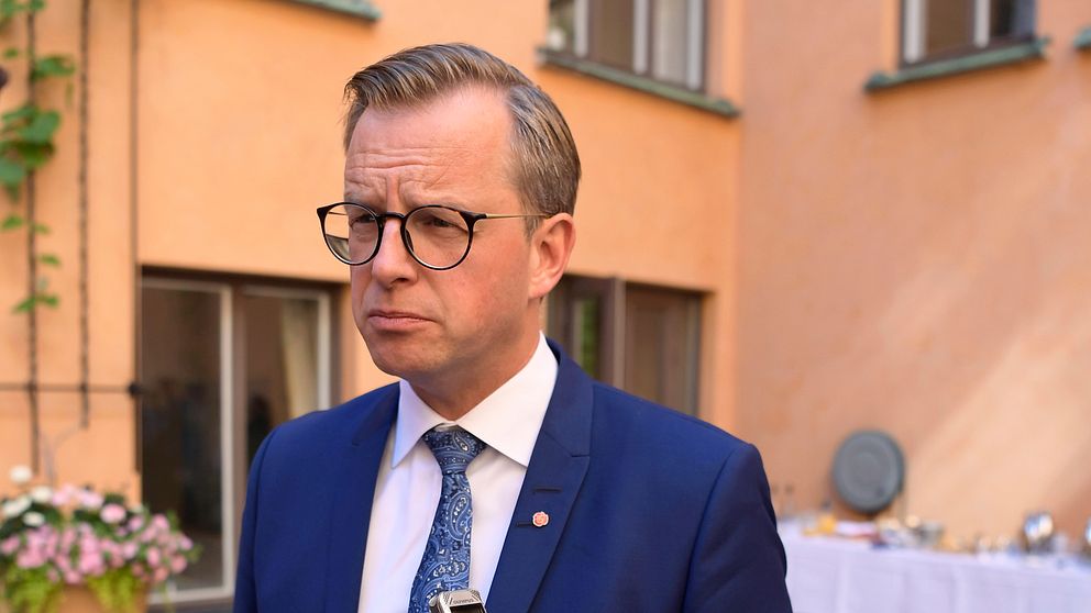 Mikael Damberg (S) menar att förslaget är ett avsteg från den svenska modellen.