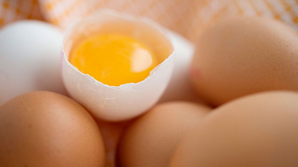 Ägg analyseras efter giftskandal