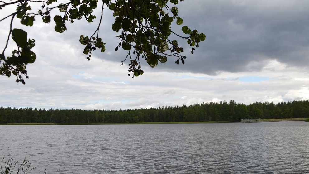 Sjön Tisaren utanför Hallsberg.