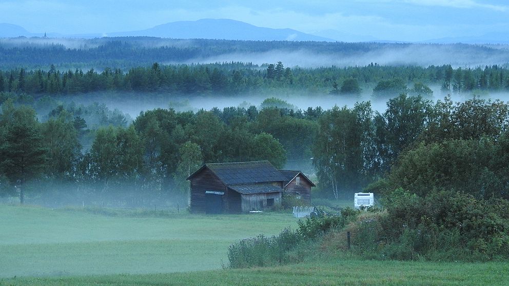 Sen kväll i Aspås, Jämtland, med massor av dimma.