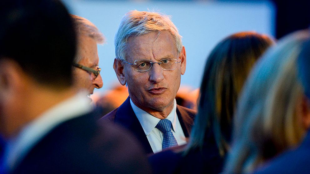 Carl Bildt favorit som ny M-ledare