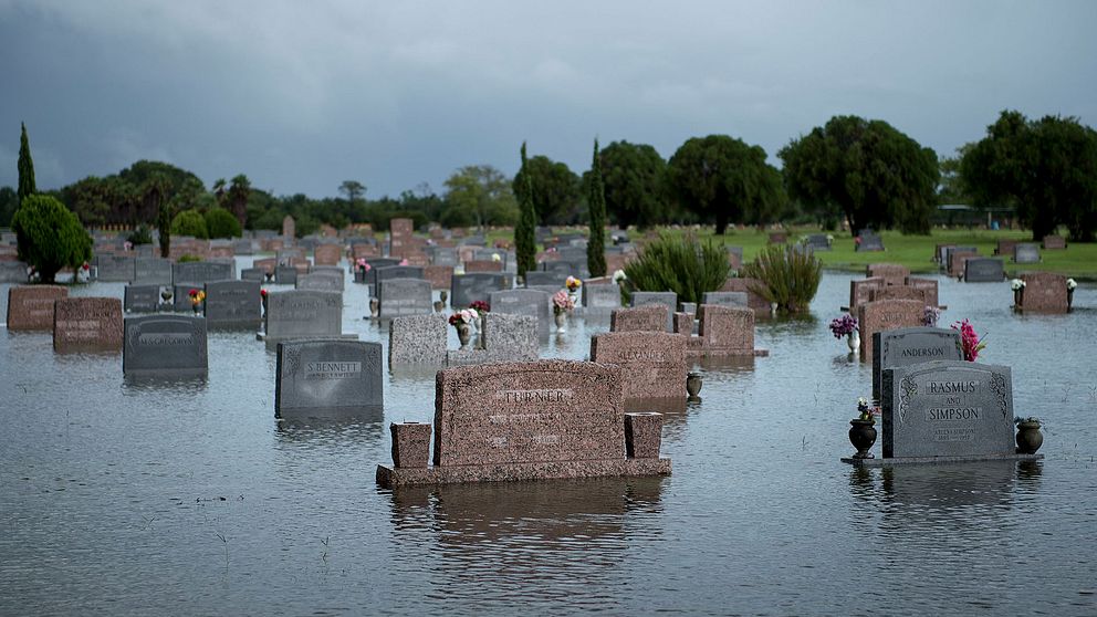 Översvämmad kyrkogård i Pearland, Texas.
