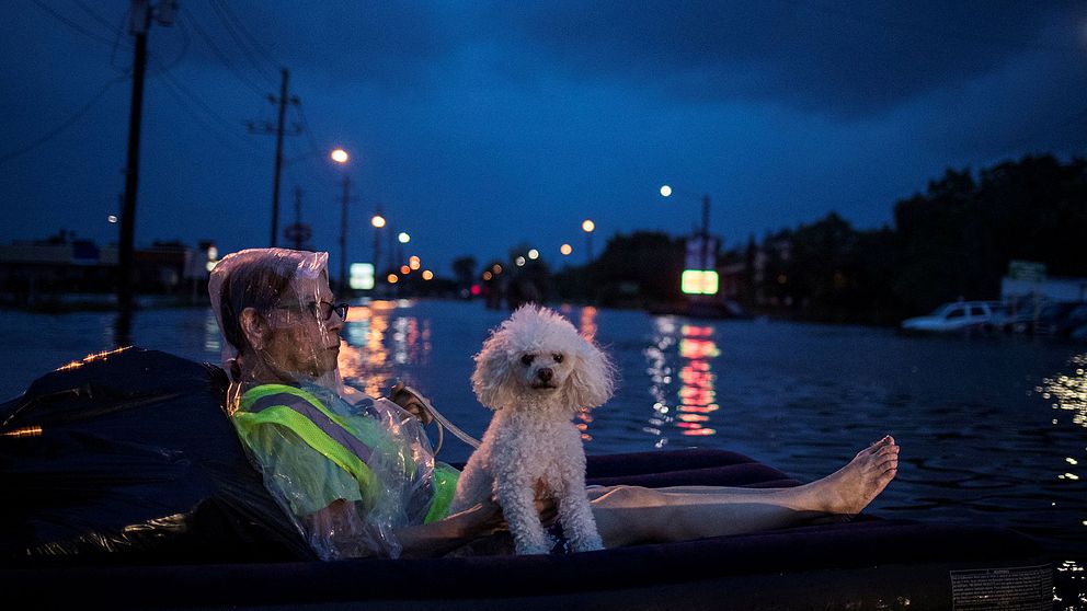 En äldre kvinna flyter på en luftmadrass med sin hund på Scarsdale Boulevard i Houston, medan hon väntar på att bli evakuerad.