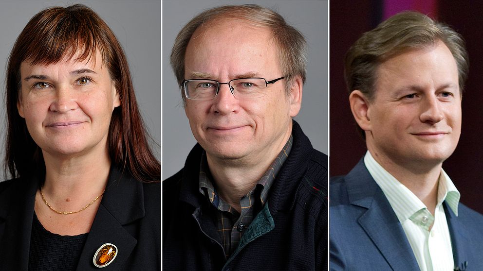 MP-politikerna Annika Lillemets, Valter Mutt och Carl Schlyter  har samtliga valt att tacka nej till att kandidera till riksdagen inför valet nästa höst.