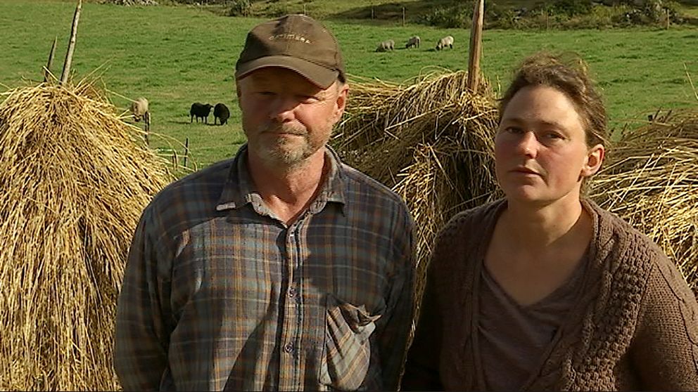 Bengt Sjöberg och Maria Larssonframför höstackar