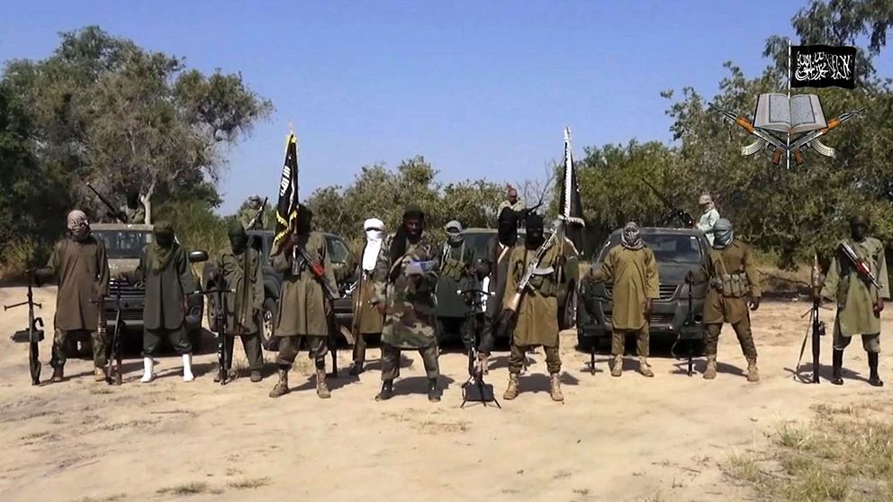 Medlemmar ur terrorgruppen Boko Haram poserar i Nigeria