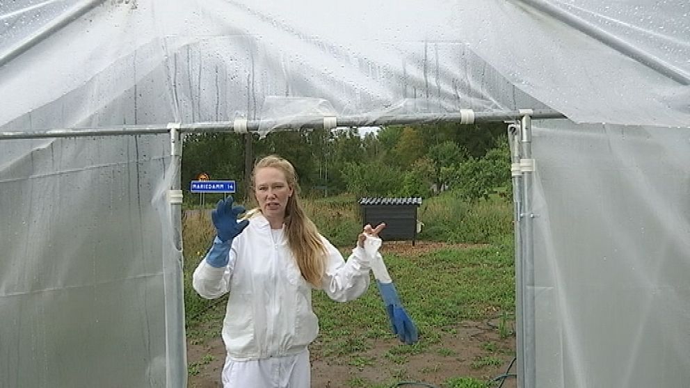 Ninna Wixell är engagerad i Godegårds skolas odlingsprojekt där eleverna får lära sig om kretslopp, politinering och även väga och mäta och göra tabeller utifrån skolträdgården.