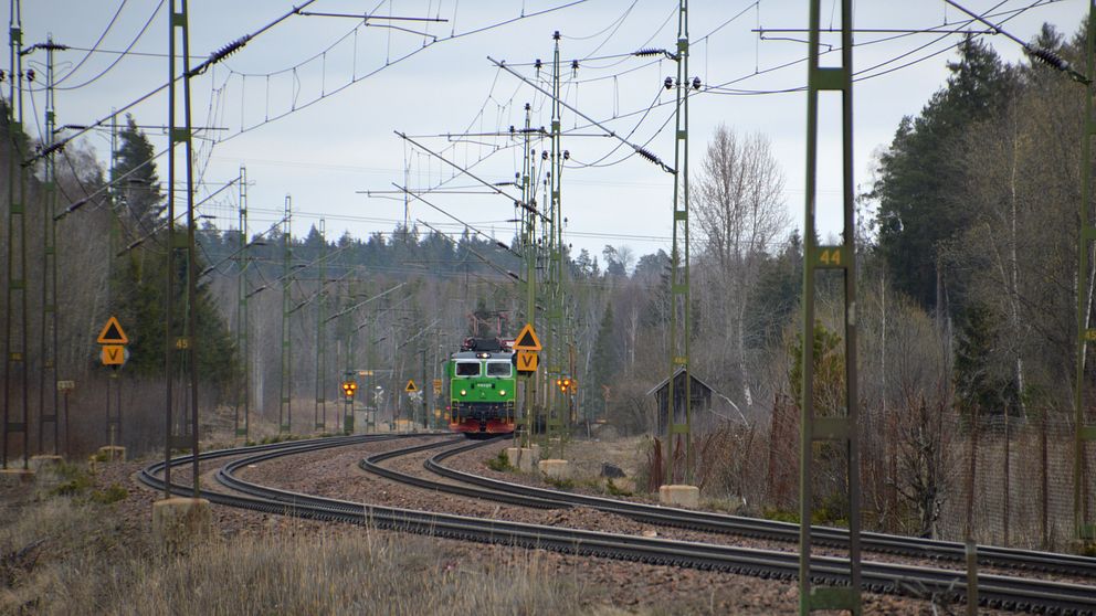 Tåg närmar sig, kör genom skog.