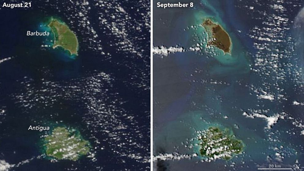 Bilden som är tagen av Nasa earth observatory visar öarna Barbuda och Antigua innan och efter orkanen Irma. Bilden visar hur vegetationen på Barbuda har förstörts.