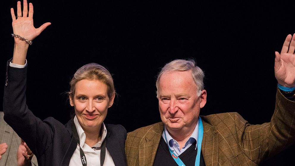 Alice Weidel, till vänster, och Alexander Gauland är högerpopulistiska AFD:s toppkandidater inför valet till förbundsdagen i september.