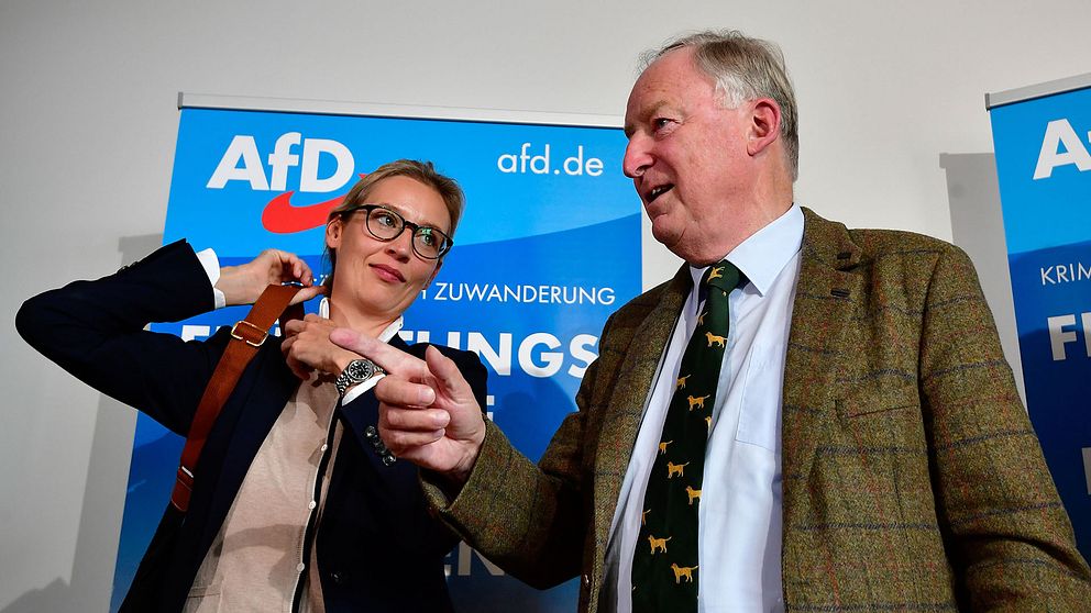 AFD:s kanslerskandidater Alice Weidel och Alexander Gauland.