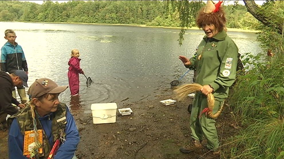 I skogarna utanför Laholm berättar Skogsmulle hur man är snäll mot naturen