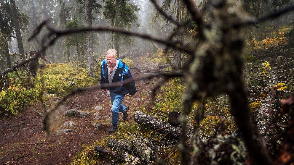 Jan Eriksson på sin morgonpromenad upp till toppen av Järvsöklack.