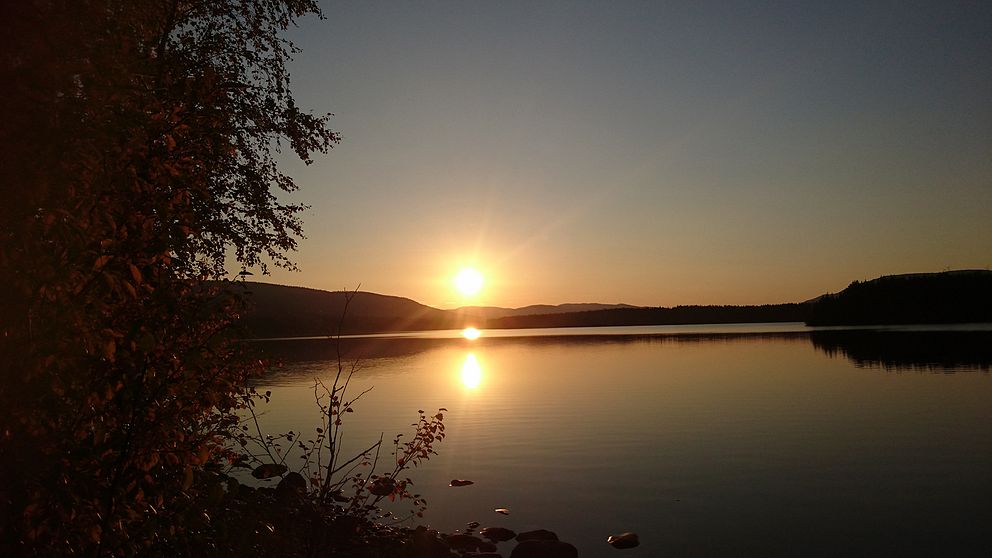 solnedgång med vy över blank sjö, land och i förgrund träd