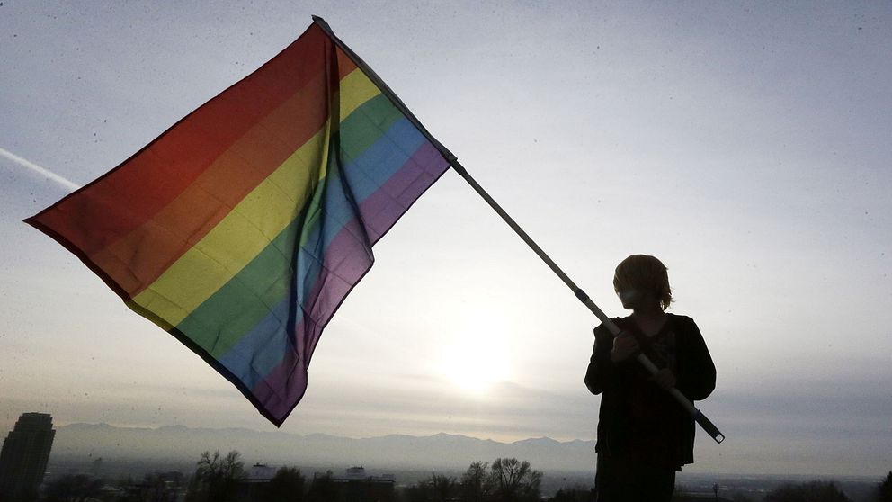 En person håller i en regnbågsflagga.