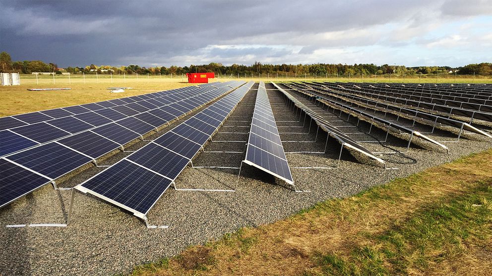 Så här ser den nya solcellsparken utanför Landskrona ut.