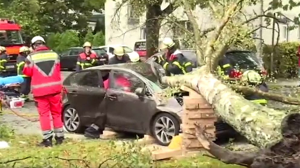 Ett nedfallet träd har totalförstört en bil