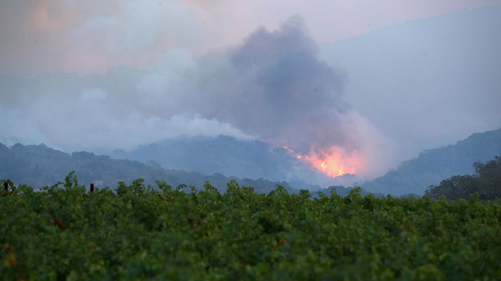En brand i bergen ovanför en vingård i Napa, Kalifornien.
