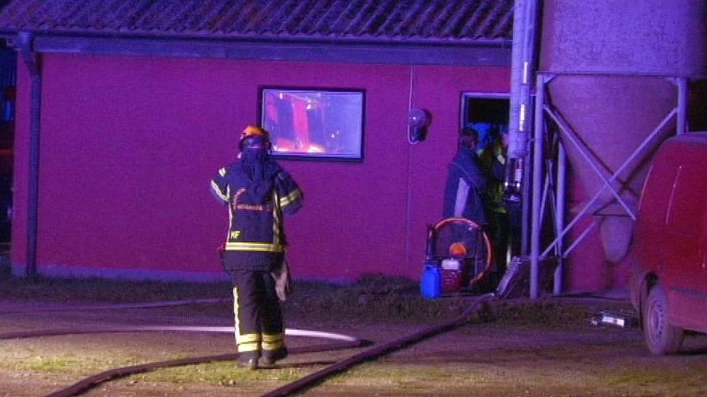 Brand i grisstall utanför Höganäs.
