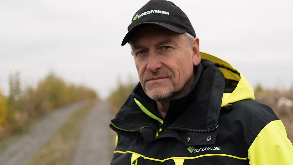Göran Hagerfors senior advisor Skogsstyrelsen