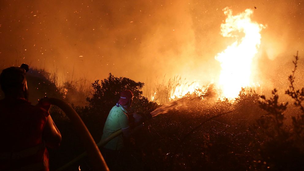 Bränder i Obidos, Portugal.