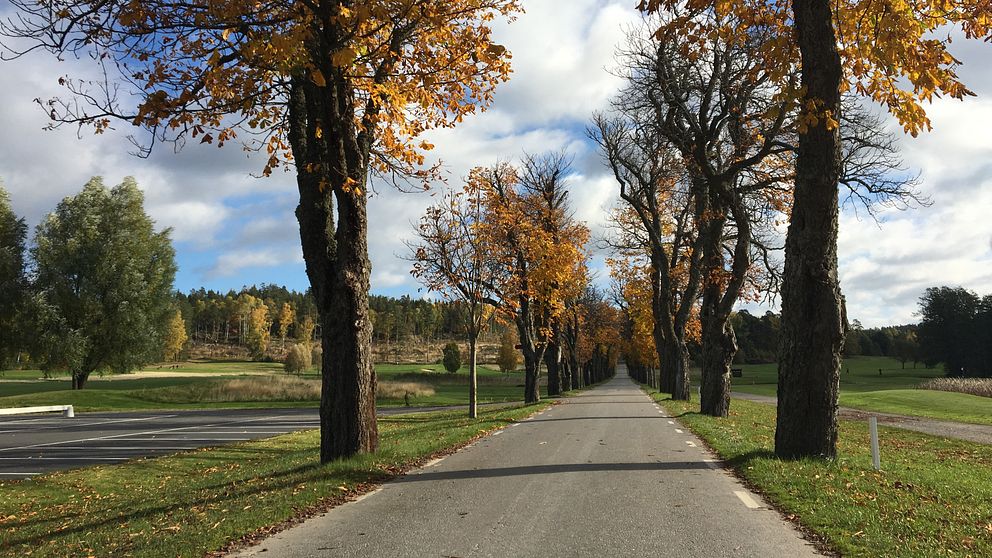 Högantorpsvägen i Salem och Södertälje kommun kan bli enskild väg
