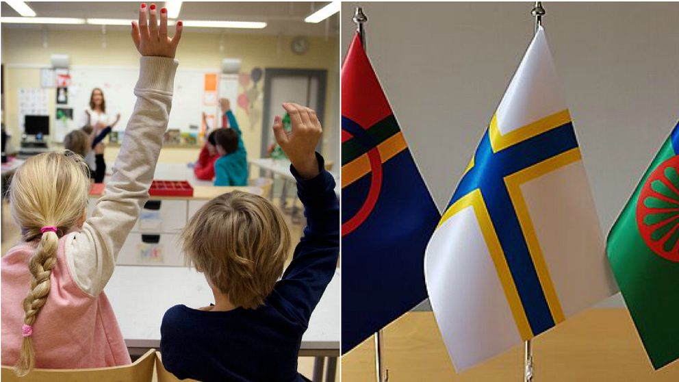 Europarådet pekar på brister i hur Sverige tar hand om sina nationella minoriteter.