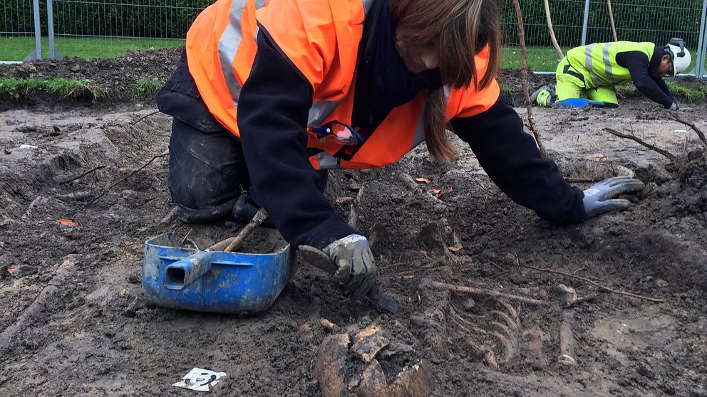 Osteologen Helene Wilhelmson gräver fram skeletten.