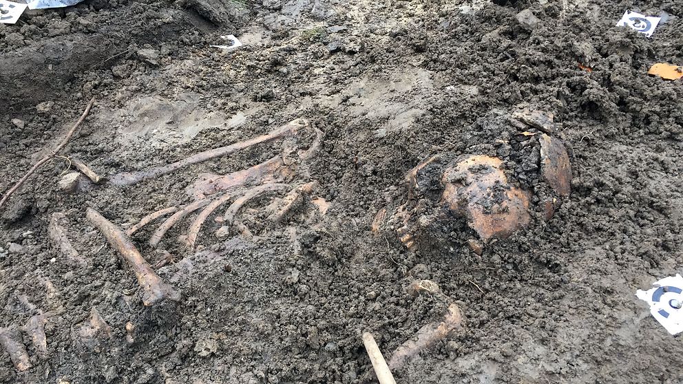 Ett 30-tal skelett ligger välbevarade utanför Allhelgonakyrkan i Lund.